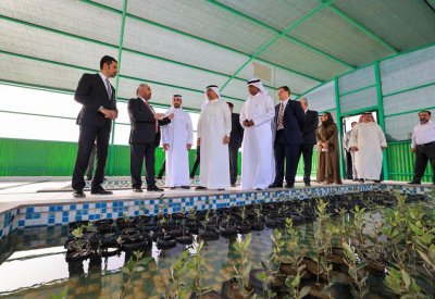 وزيرا "البلديات" و"البيئة" يؤكدان على مضاعفة أشجار القرم للحد من آثار تغيير المناخ
