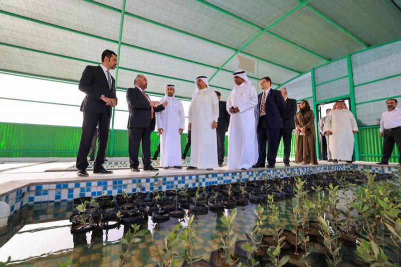 وزيرا "البلديات" و"البيئة" يؤكدان على مضاعفة أشجار القرم للحد من آثار تغيير المناخ