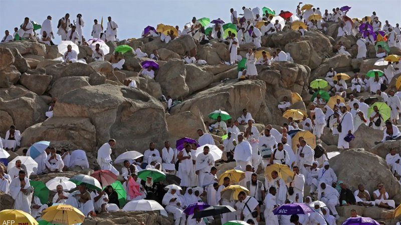على عرفات.. الحجاج يطلبون المغفرة ويدعون لأوطانهم