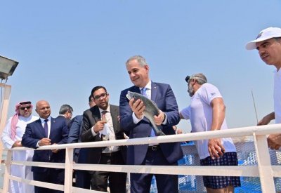 إطلاق 20 ألف سمكة سبيطي في المياه الإقليمية للبحرين