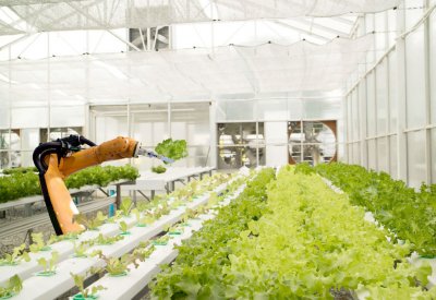 توقعات بنمو سوق الزراعة الذكية بأكثر من 11 % حتى عام 2028