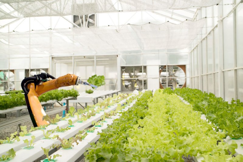 توقعات بنمو سوق الزراعة الذكية بأكثر من 11 % حتى عام 2028