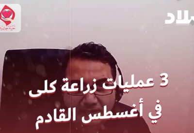 بالفيديو: 3 عمليات زراعة كلى بالشهر المقبل