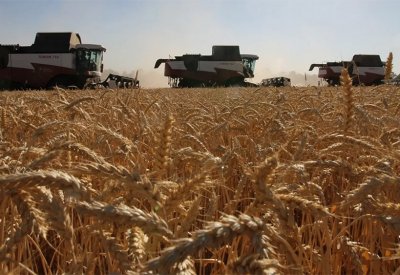 بوريل: استئناف تصدير الحبوب الأوكرانية مسألة حياة أو موت