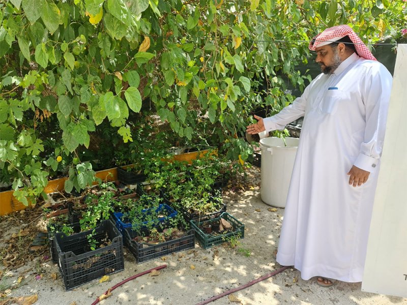 بالصور: خلال 5 سنوات.. مواطن يوزع 10 آلاف شتلة على هذه الجهات