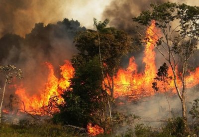 إجلاء أكثر من 100 شخص من منازلهم في إيطاليا جراء حرائق الغابات
