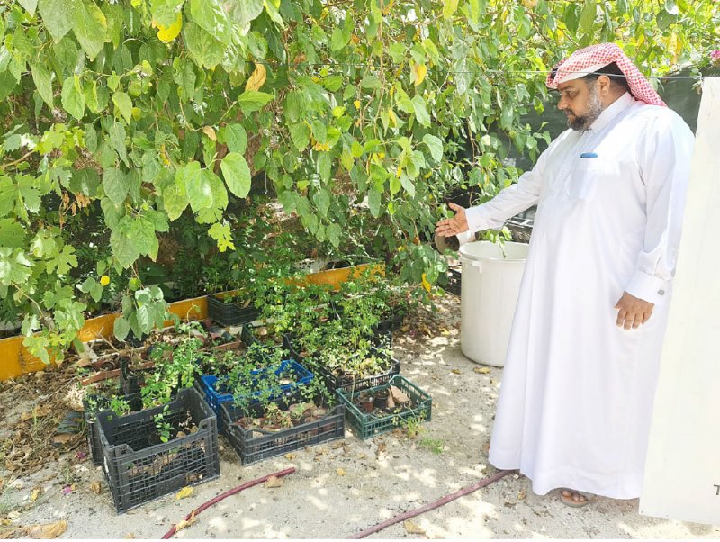 العلي: وزّعت 10 آلاف شتلة بشكل تطوعي خلال 5 أعوام