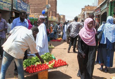 السودان...60% من سكان المدن يواجهون خطر انعدام الأمن الغذائي