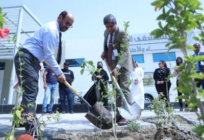 البلدية الجنوبية تزرع 200 شتلة بالشراكة مع المستشفى الملكي ضمن مبادرة تكثيف الزراعة والتشجير في المنطقة