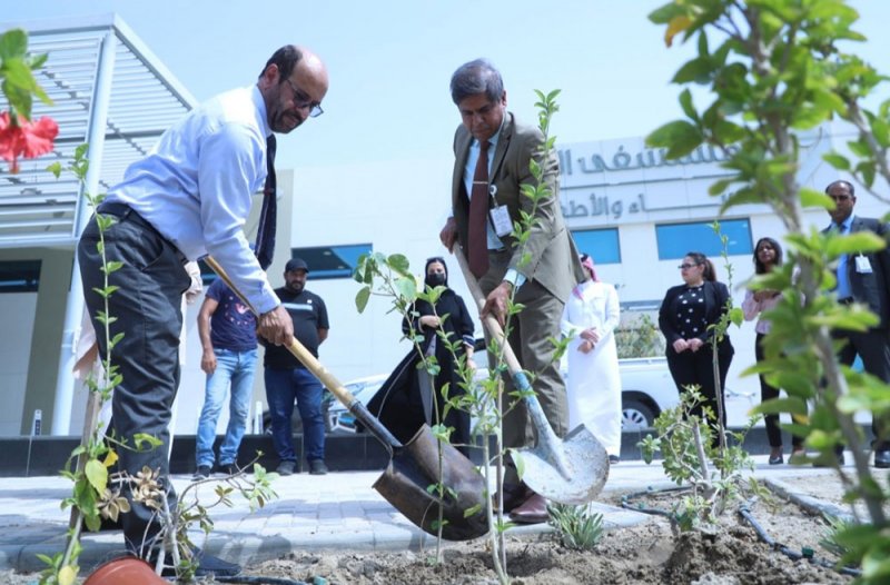 البلدية الجنوبية تزرع 200 شتلة بالشراكة مع المستشفى الملكي ضمن مبادرة تكثيف الزراعة والتشجير في المنطقة