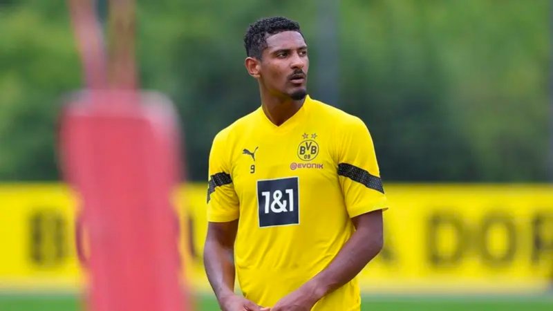 دورتموند يعلن غياب هالر شهرين بعد خضوعه لجراحة