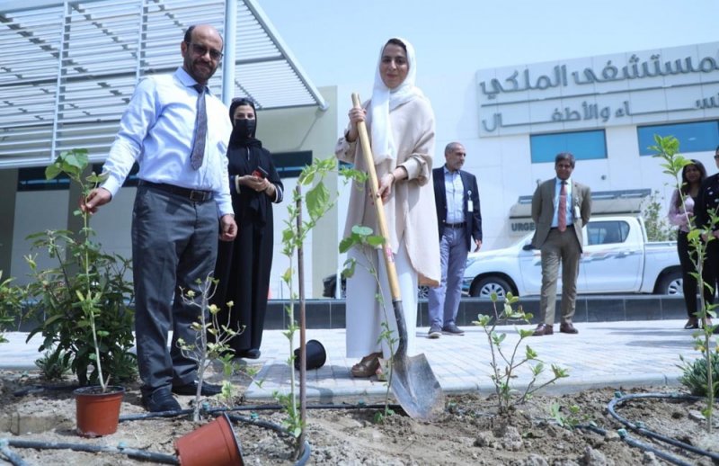 تكثيف وزيادة المسطحات الخضراء.. وهذه التفاصيل