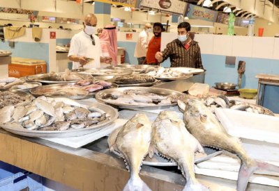 الهامور البحريني يرتفع لـ7 دنانير بعد اختفاء المستورد
