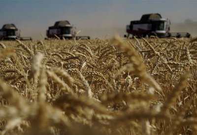 مسؤول تركي: أول سفينة حبوب قد تغادر الموانئ الأوكرانية غدا