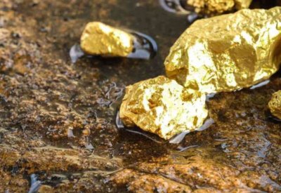 ارتفاع أسعار الذهب بدعم تراجع عوائد السندات الأمريكية