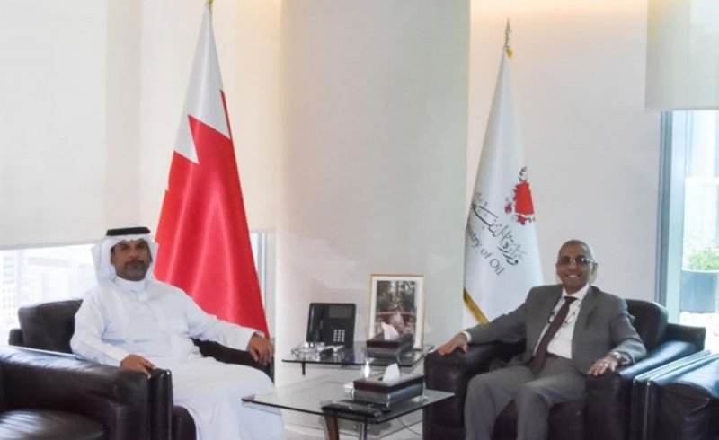 وزير النفط يلتقي سفير مصر