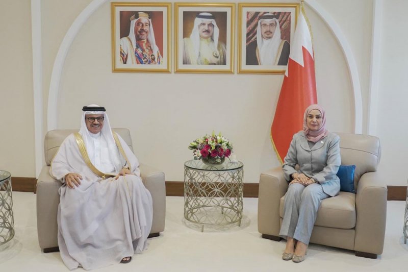تنمية جهود الدبلوماسية بين السلطتين التشريعية والتنفيذية تحقيقا للمصلحة الوطنية العليا
