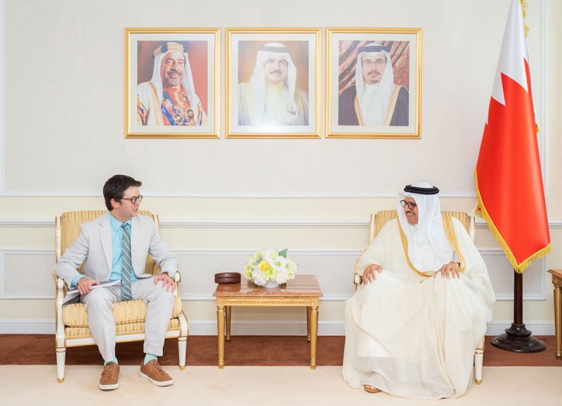 وزير الخارجية يستقبل عضو لجنة القوات المسلحة بمجلس الشيوخ
