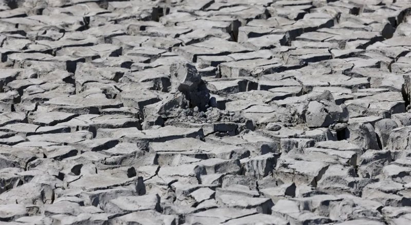 الأقسى منذ 500 سنة.. الجفاف يفتك بأوروبا وتحذيرات من الأسوأ