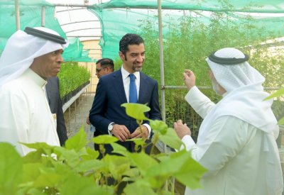 إنتاج 20 ألف شتلة في مركز الحاضنات الزراعية بهورة عالي