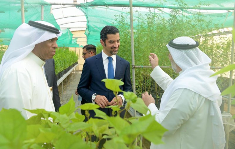 إنتاج 20 ألف شتلة في مركز الحاضنات الزراعية بهورة عالي