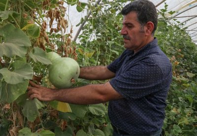 ما حقيقة إعلان العراق الاكتفاء ذاتيا بـ15 محصولا؟