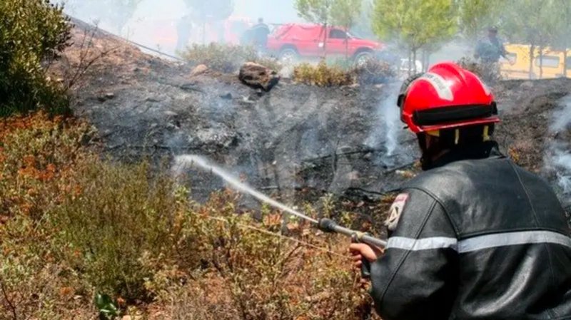 37 جثة تفحمت وأطفال حوصروا.. مشاهد مروعة لحرائق الجزائر