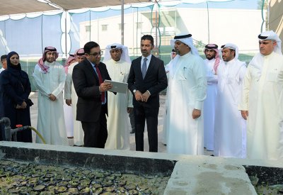 وزيرا "البلديات" و"النفط والبيئة" يدشنان المشتل الجديد لزراعة القرم