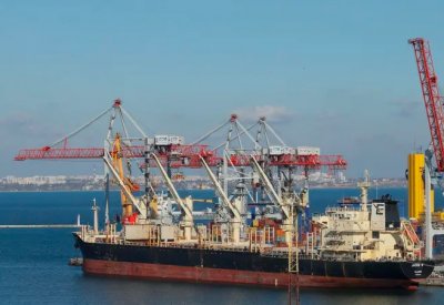 تراجع صادرات أوكرانيا الغذائية الرئيسية بمقدار النصف تقريبا منذ بداية الحرب