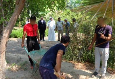 مبادرة جديدة بمشاركة 5 جهات للعقوبات البديلة.. وهذا موعد الإعلان عنها