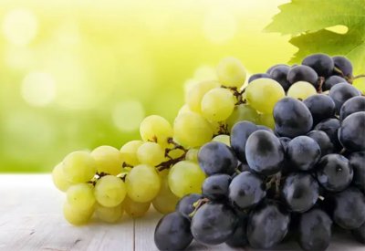 العنب الداكن أم الفاتح.. أيهما أكثر فائدة؟ خبيرة تغذية تجيب