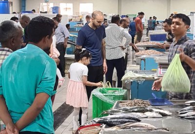 40% زيادة في الطلب على الأسماك