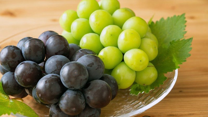 نصيحة استهلاكية .. العنب الداكن أم الفاتح... أيهما أكثر فائدة؟