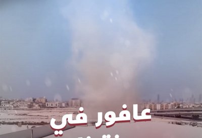بالفيديو: "عافور" يتجول في هذه المنطقة