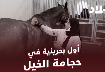 فيديو "البلاد": يوم مع بحرينية متخصصة بحجامة الخيول