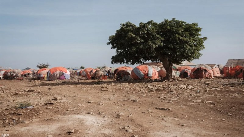 دولة عربية "على حافة المجاعة".. تعرف عليها