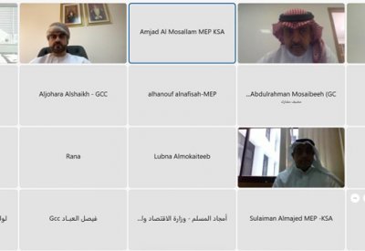 الفريق الفني لهيئة الشؤون الاقتصادية والتنموية بدول مجلس التعاون يعقد اجتماعه الرابع