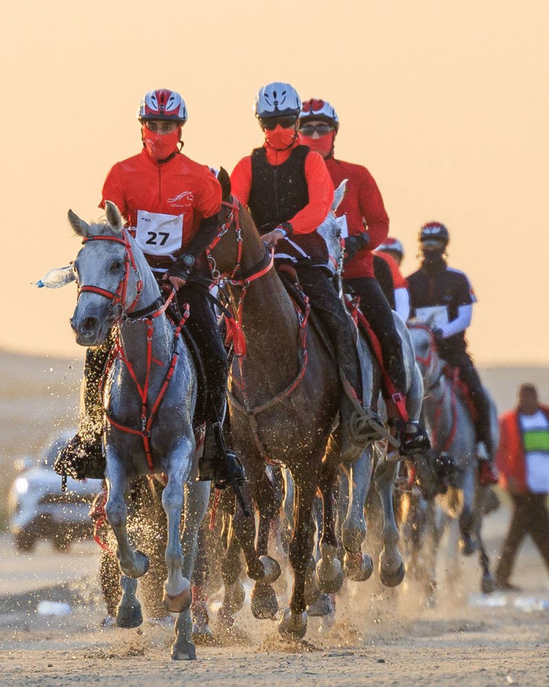 ناصر بن حمد يعتمد سباقات الموسم الجديد للقدرة 2022/2023