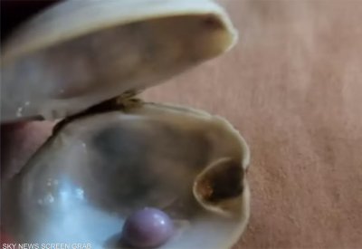 أكل المحار فصدم بكنز.. لؤلؤة تنعش رحلة رجل أميركي