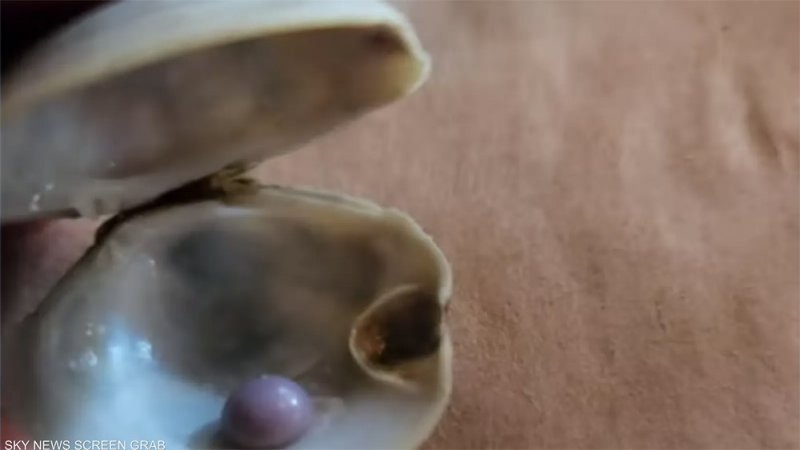 أكل المحار فصدم بكنز.. لؤلؤة تنعش رحلة رجل أميركي