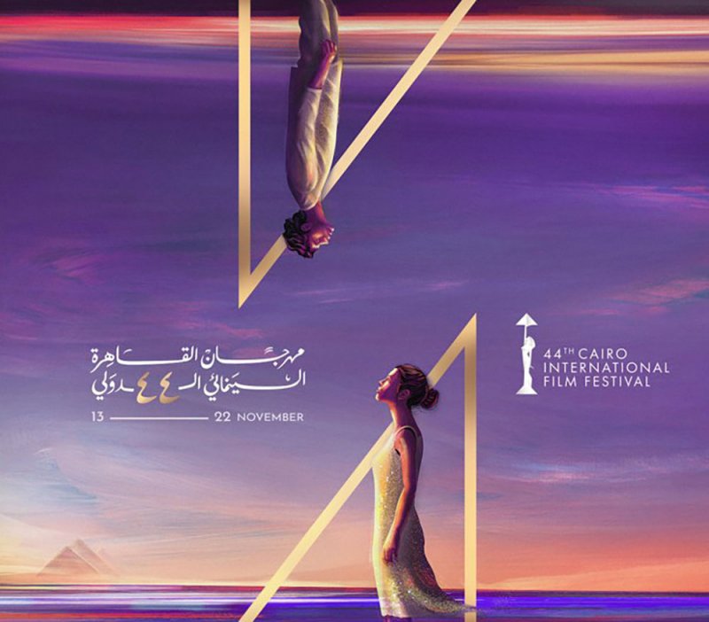 القاهرة السينمائي يعلن عدد شاشات عرض أفلامه
