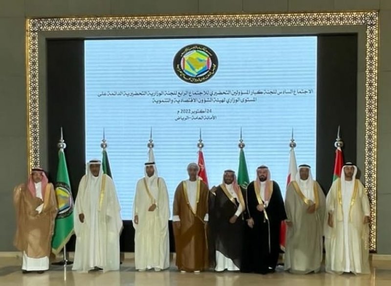 وكيل "المالية" يشارك في اجتماع كبار المسؤولين في هيئة الشؤون الاقتصادية والتنموية بمجلس التعاون
