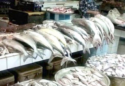 وفرة في الأسماك وركود بسوق المنامة المركزية