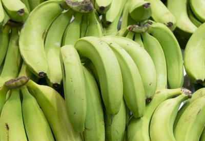 الموز الأخضر.. فائدة "غير متوقعة" لا تخطر على البال