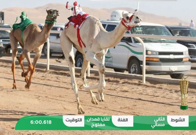 ناصر بن حمد: سعداء بنتائج الهجن البحرينية وحصول "لاهوم" على أسرع توقيت