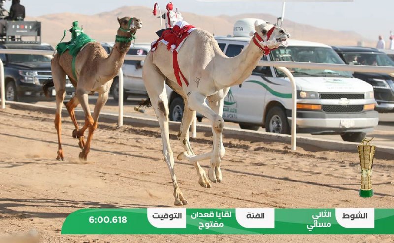 ناصر بن حمد: سعداء بنتائج الهجن البحرينية وحصول "لاهوم" على أسرع توقيت