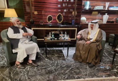 رئيس المجلس الأعلى للشئون الإسلامية يلتقي وزير الشئون الدينية الباكستاني