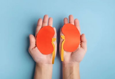 لكلى صحية.. تناول هذه الأطعمة الـ13