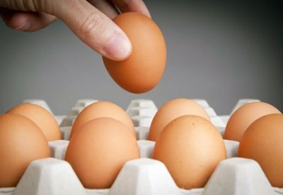 الحفاظ على البيض طازجا