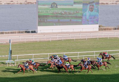 الجياد المرشحة تحقق كؤوس خالد بن حمد ونجليه فيصل وعبدالله